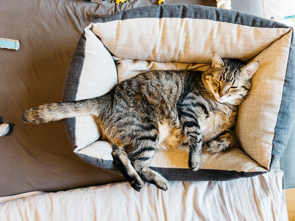 Beds