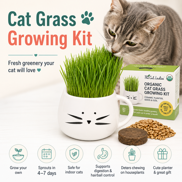 Cat Grass Growing Kit by The Cat Lady's featuring a white ceramic cat-face planter filled with green grass, a box of organic cat grass growing kit, loose cat grass, and catnip, with a gray tabby cat in the background and feature icons at the bottom.