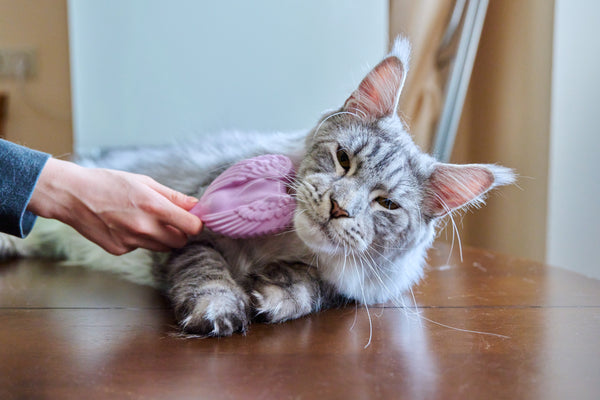 Grooming