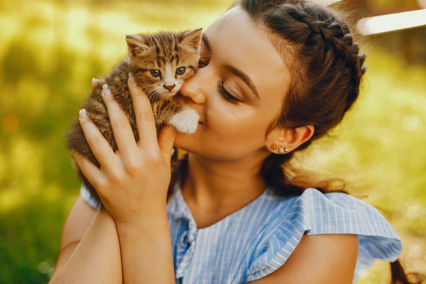 For Cat Lovers
